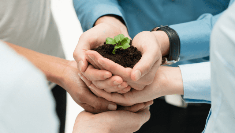 How Can a VA Help You Grow Your Business?
